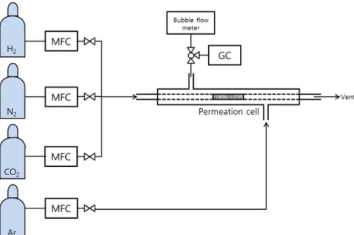 Fig. 1. Schematic diagram of single and binary gas permeation set-up.