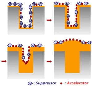 Fig. 4. The schematic diagram of superfilling mechanism with the changes in the surface coverage of adsorbates [6].