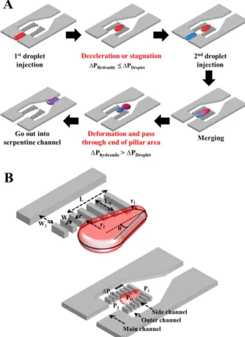 Fig. 2. (A) Schematic diagram of droplet merging process. (B) Three- Three-dimensional illustration showing the structure of the merging chamber and force balance when the droplet is stagnated in the pillar area