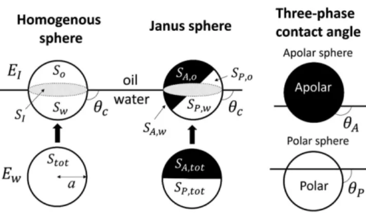 Fig. 1. Schematics of the attachment energy for a homogenous sphere and a Janus sphere at an oil-water interface