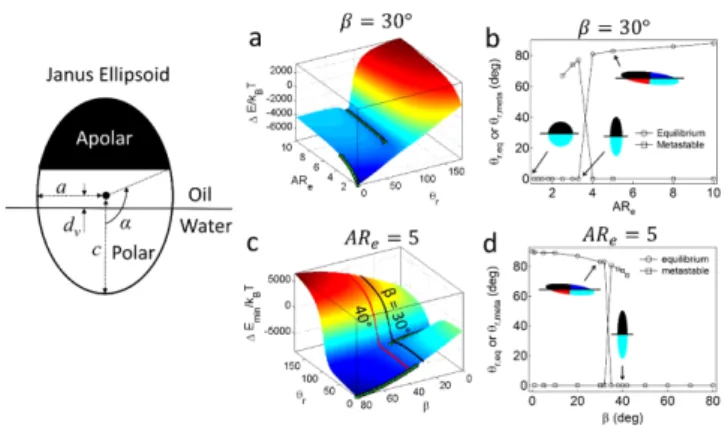Fig. 4. Orientation phase diagrams of Janus ellipsoids with various particle characteristics