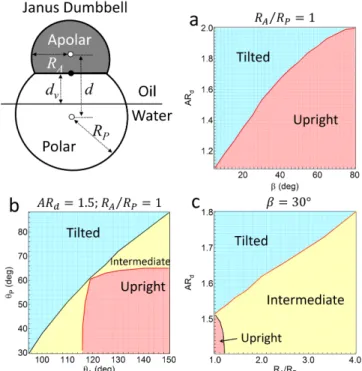 Fig. 5. (a) Attachment energy profile of a Janus ellipsoid with α=90 o , β=40 o , AR e =5, and c=10 nm at the oil-water interface (γ ow =50 mN/m)