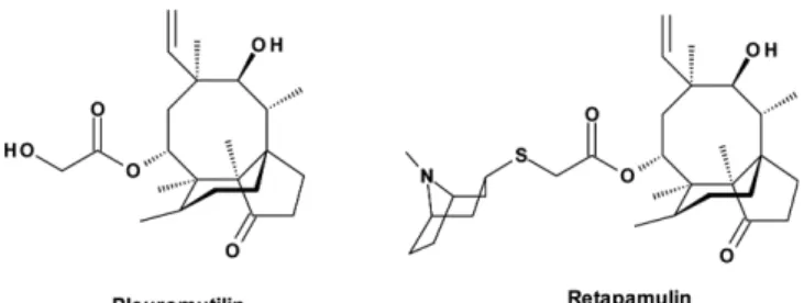 Fig. 14. TE-mediated macrocyclization; 1) transfer of final interme- interme-diate to TE active site serine 2) regioselective intramolecular cleavage of the acyl-enzyme intermediate by an internal nucleophile [43].