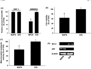 Fig. 3. Enhanced expression of hypoxia-induced survival factor (HIF-1α) and transforming growth factor-beta in hADSCs cultured in the inverse opal scaffolds for 3 weeks