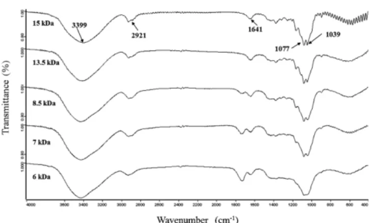 Fig. 3. SEM images of different molecular weight laminarin samples;