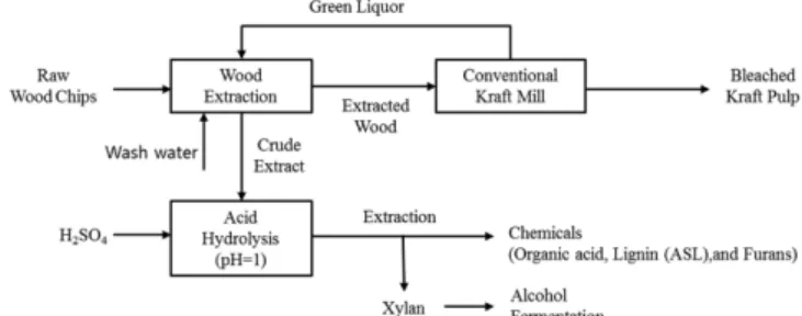 Fig. 1. Schematic flow of proposed pre-pulping extraction process.