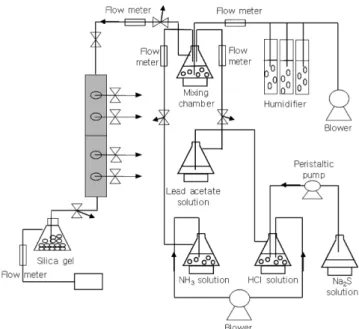 Fig. 1. Schematic diagram of semi-pilot biofilter-system. 