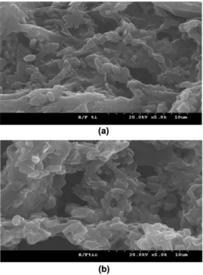 Fig. 7. SEM image of the surface of GAC. 