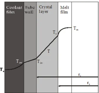 Fig. 5. Temperature profile of melt crystallization. 