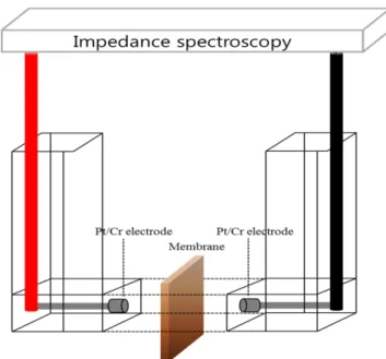Fig. 3. A cell configuration for measurement of transport number.