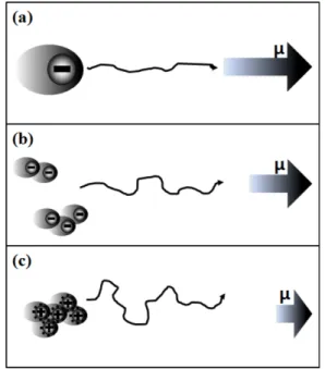 Fig. 4. Schematic illustration of the particle electrophoretic mobil- mobil-ity ( µ) depending on the particle size and surface property under the volume fraction; (a) large particle, (b) small  par-ticle, (c) small particle with surface coating.
