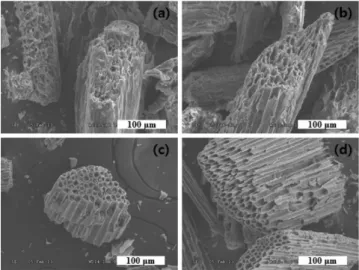 Fig. 3. The derivative weight loss of the OPF-Raw and torrefied OPFs during 2 hours.