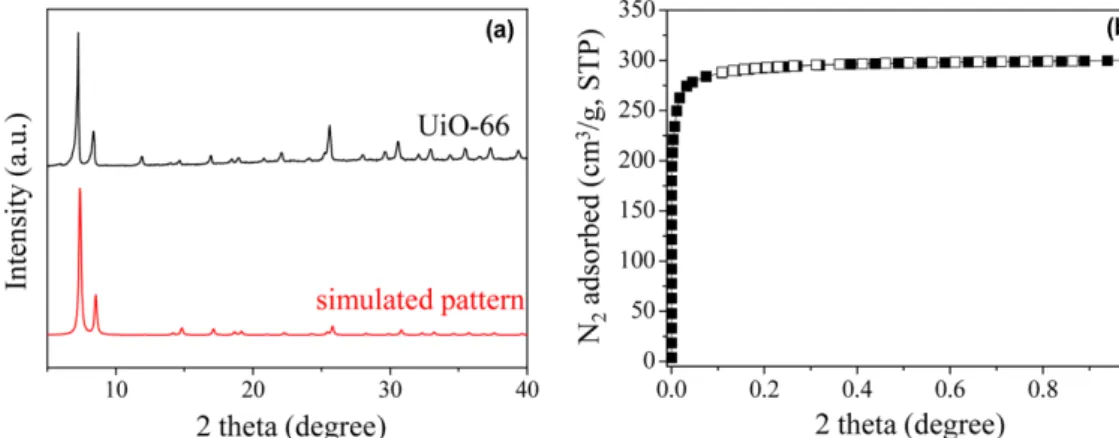 Fig. 2. SEM image of the synthesized UiO-66 sample.