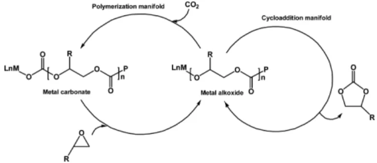 Fig. 2. Synthesis of cyclic carbonate from GMA and CO 2 .