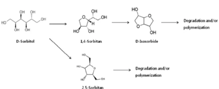 Fig. 1. Schematic representation of sorbitol dehydration and distil- distil-lation equipment.