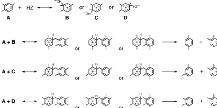 Fig. 4. Possible reaction intermediates for the zeolite-catalyzed 1,2,4- 1,2,4-TMB disproportionation [37].