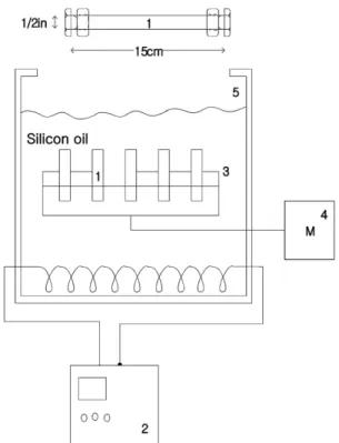 Fig. 1. Schematic diagram of experimental apparatus for BHBT synthe- synthe-sis.