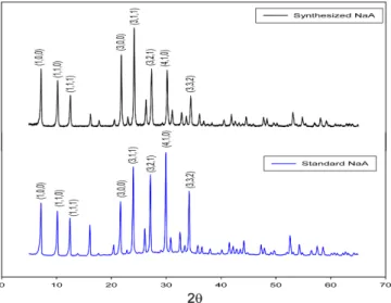 Fig. 6. SEM images of surfaces of PVA-NaA membrane prepared with (a) 1 wt% and (b) 3 wt% of NaA particles.
