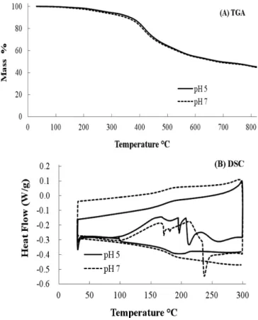 Fig. 2. Effects of the amount of HRP on the synthetic yield of poly (p-phenylphenol) in 80% (v/v) dioxane with two different aqueous buffers; sodium acetate (100 mM, pH 5) and sodium phosphate (100 mM, pH 7).