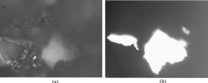 Fig. 5. Transient behavior of pressure drop of a conventional biofilter (L reactor) and biofilter system with improved design (R  reac-tor).