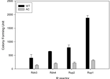 Fig. 6. Microbial counts with dilution factor of 10 4  at each column of conventional biofilter (L reactor) (top→down): L1, top column of biofilter; L2, second column of biofilter from the top; L3, third column of biofilter from the top; L4, bottom column 