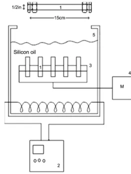 Fig. 2. Schematic diagram of the experimental apparatus.