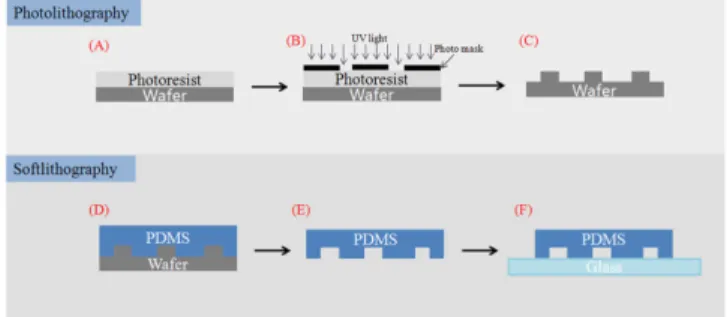 Fig. 2. Chip design of christmas tree microfluidic device.