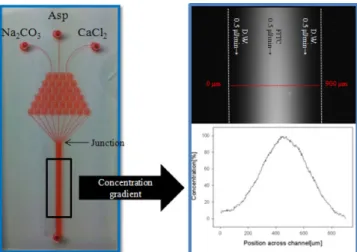 Fig. 8. Optical image of initial crystallization with Asp.
