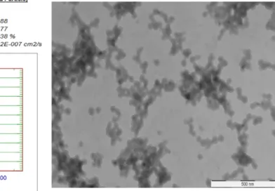 Fig. 1. TEM photograph and particle size distribution of seed latex. 
