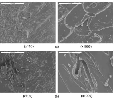 Fig. 10. Flexural strength of recycled glass fiber reinforced unsatur- unsatur-ated polyester with recycled glass fiber content: ( ■) attrition mill for 1 h,   (●) attrition mill for 2 h.
