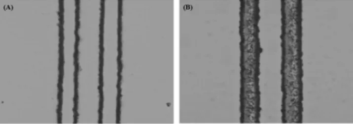 Fig. 4. (A) Proof for the current through the Ag nanoparticles aligned on the intaglio lines of polystyrene formed on polycarbonate substrate