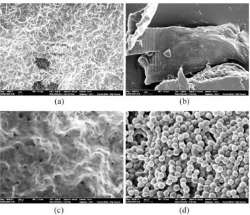 Table 1. Operating condition of Soxhlet extraction for 4 hours with changing the solvent and the result of the ICP-OES analysis Solvent Heating ( o C) Cooling(oC) Pressure(bar) W Si (mg/Kg) Untreated − − − 11345 n-Hexane 70 10 1 5643 Dimethyl ether 50 −5 5