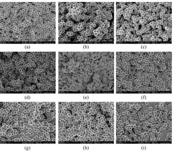 Fig. 5. FE-SEM images of the extracted PAA microspheres using liquid CO 2  with changing the heating and cooling temperatures; (a) EPAA01, (b) EPAA02, (c) EPAA03, (d) EPAA04, (e)EPAA05, (f)EPAA06, (g) EPAA07, (h) EPAA08, and (i) EPAA09.