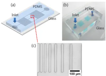Fig. 2. (a) schematic diagram of the microchannels. (b) the Final assembled microfluidic chip composed of PDMS  microchan-nels and glass substrate