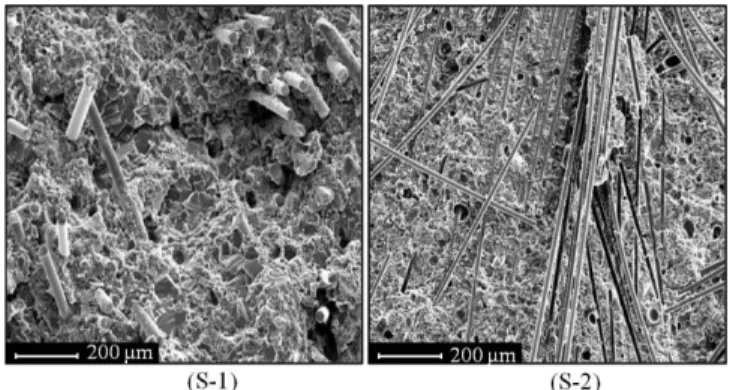 Fig. 8. SEM image of sample using sheet molding compund of S-1 and S-2. S-1: preparation of general sheet molding  com-pund, S-2: this work.