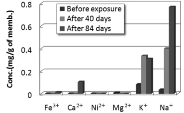 Fig. 2. The comparison of ions concentration in air at various place.