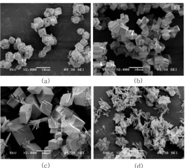 Fig. 2. SEM image of Calcium carbonate by adding EDTA 0.00625 g/