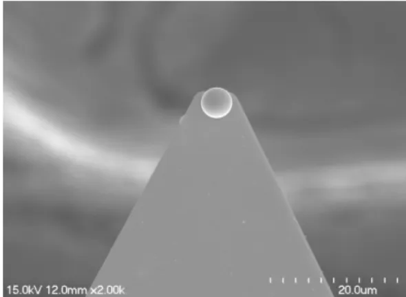 Fig. 1. Titanium dioxide sphere-attached-cantilever.