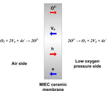 Table 1. Parameters for Fabrication of the BSCF Hollow Fiber Mem- Mem-branes