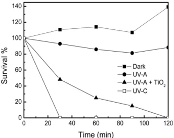Fig. 7. Antibacterial effect according to the weight of TiO 2  photo- photo-catalyst.
