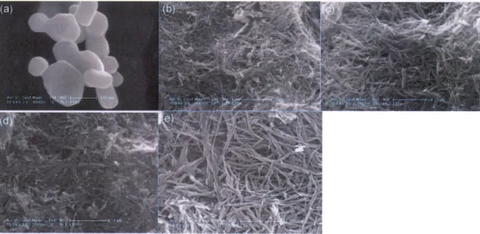 Fig. 3. X-ray diffractograms of rutile TiO 2  powder, the titanate hydrate, and TiO 2  nanotubes prepared at different annealing  temper-atures.