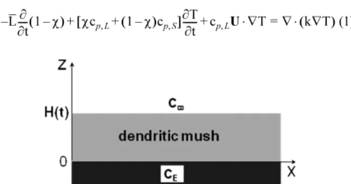 Fig. 1. Schematic diagram of solidifying mush confined between two planar boundaries.