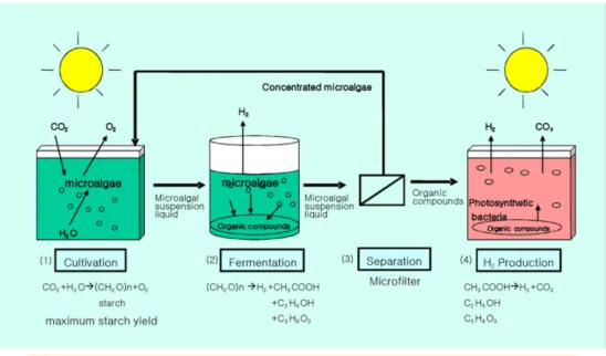 Fig. 3. Hybrid system of Photo- and dark fermentation.