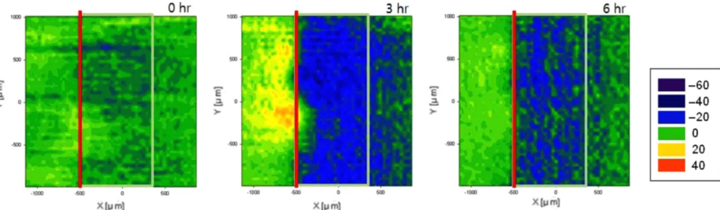 Fig. 6. Iso-potential contour maps derived from SVET scans above cut-edge for the sample excluding the anit-corrosion pigments; red color - -primer coating, light yellow green - sample area