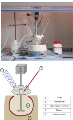 Fig. 1. Experimental apparatus for ZnO precipitation synthesis. 