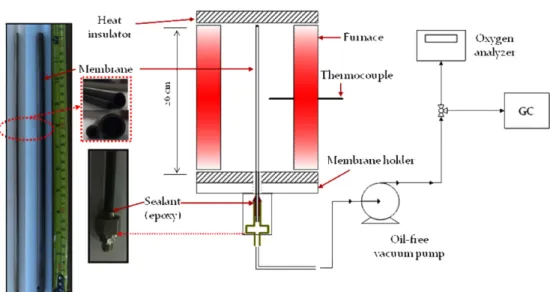 Fig. 2. Schematic diagram of the experimental apparatus for oxygen permeation.