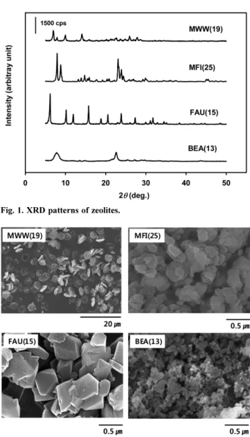 Fig. 2. SEM images of zeolites.