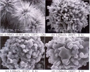 Fig. 8. XRD patterns of LiMn 2 O 4  powders prepared by the lithia- lithia-tions of (a) nanorod-clustered MnO 2  with different phases and heat treatment temperatures and of (b) nanorod-clustered β-MnO 2  with different concentrations of lithiation agent (