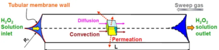 Fig. 4. Cross section of the boundaries of the system.