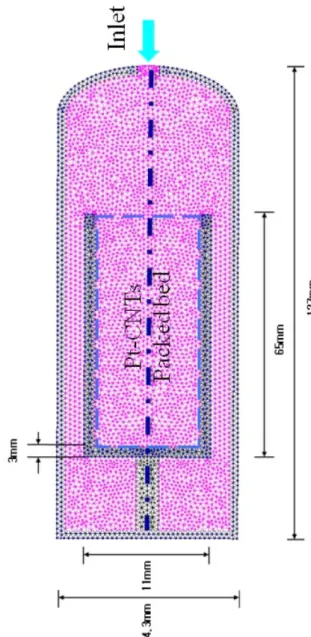 Fig. 1. Schematic diagram and grid generation for numerical simu- simu-lation of Pt-CNTs based hydrogen storage system.